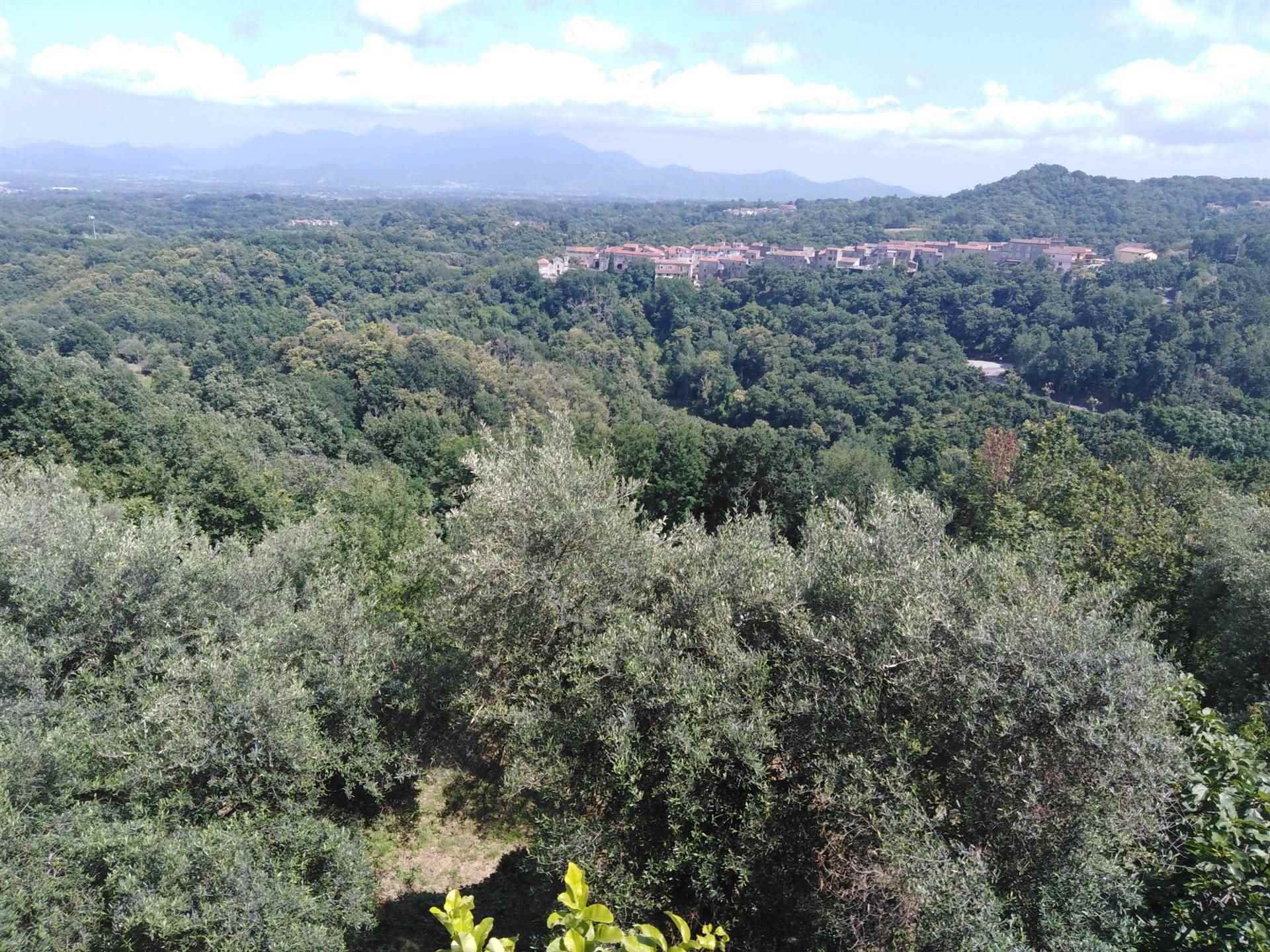 Casa semi indipendente a Marzano Appio, foto 4