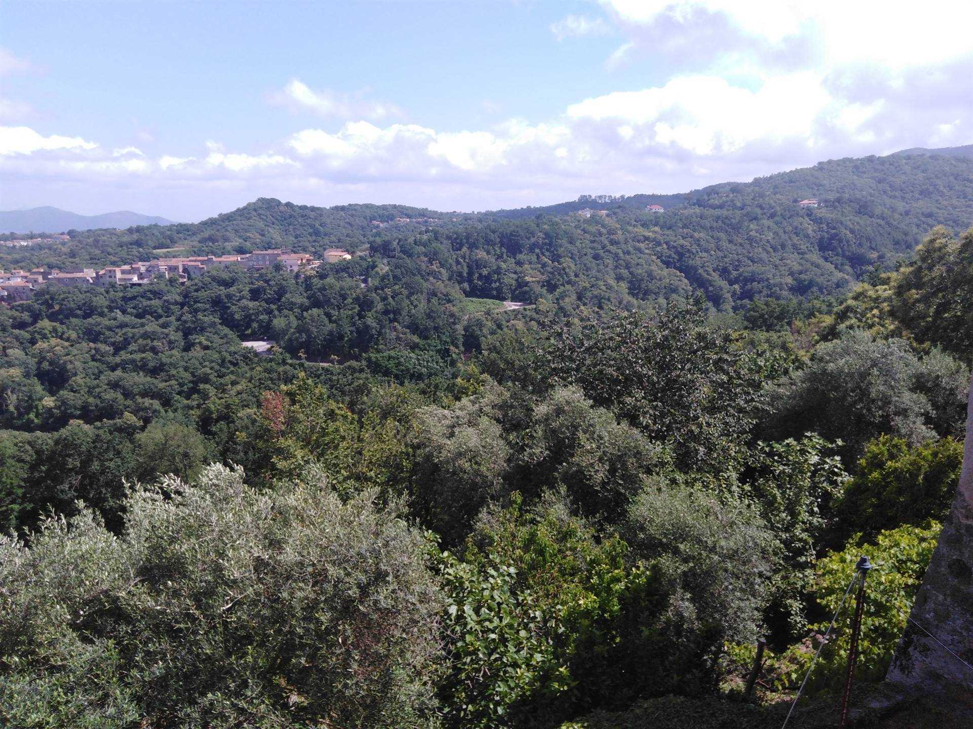 Casa semi indipendente a Marzano Appio, foto 5