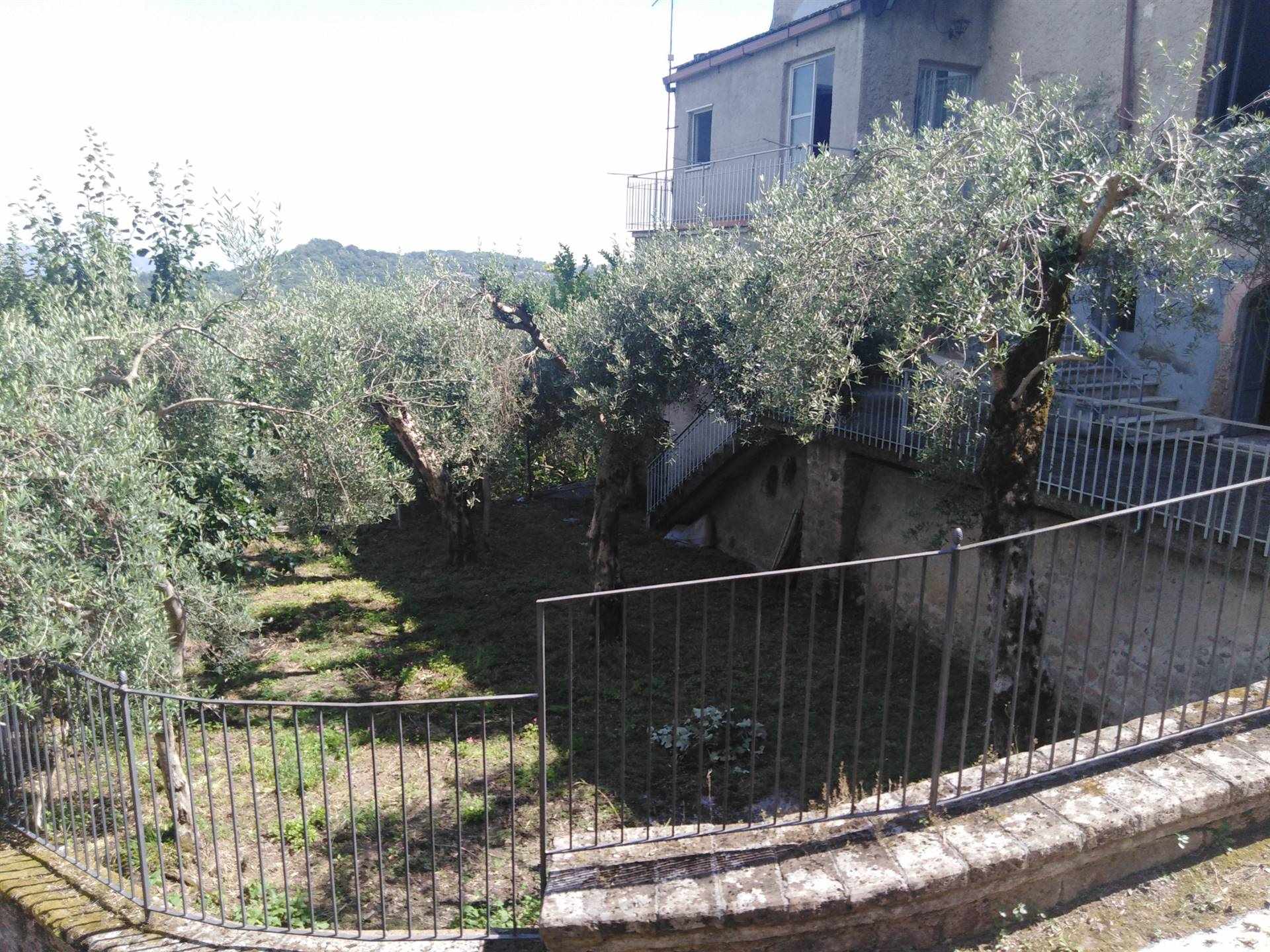 Casa semi indipendente a Marzano Appio, foto 19