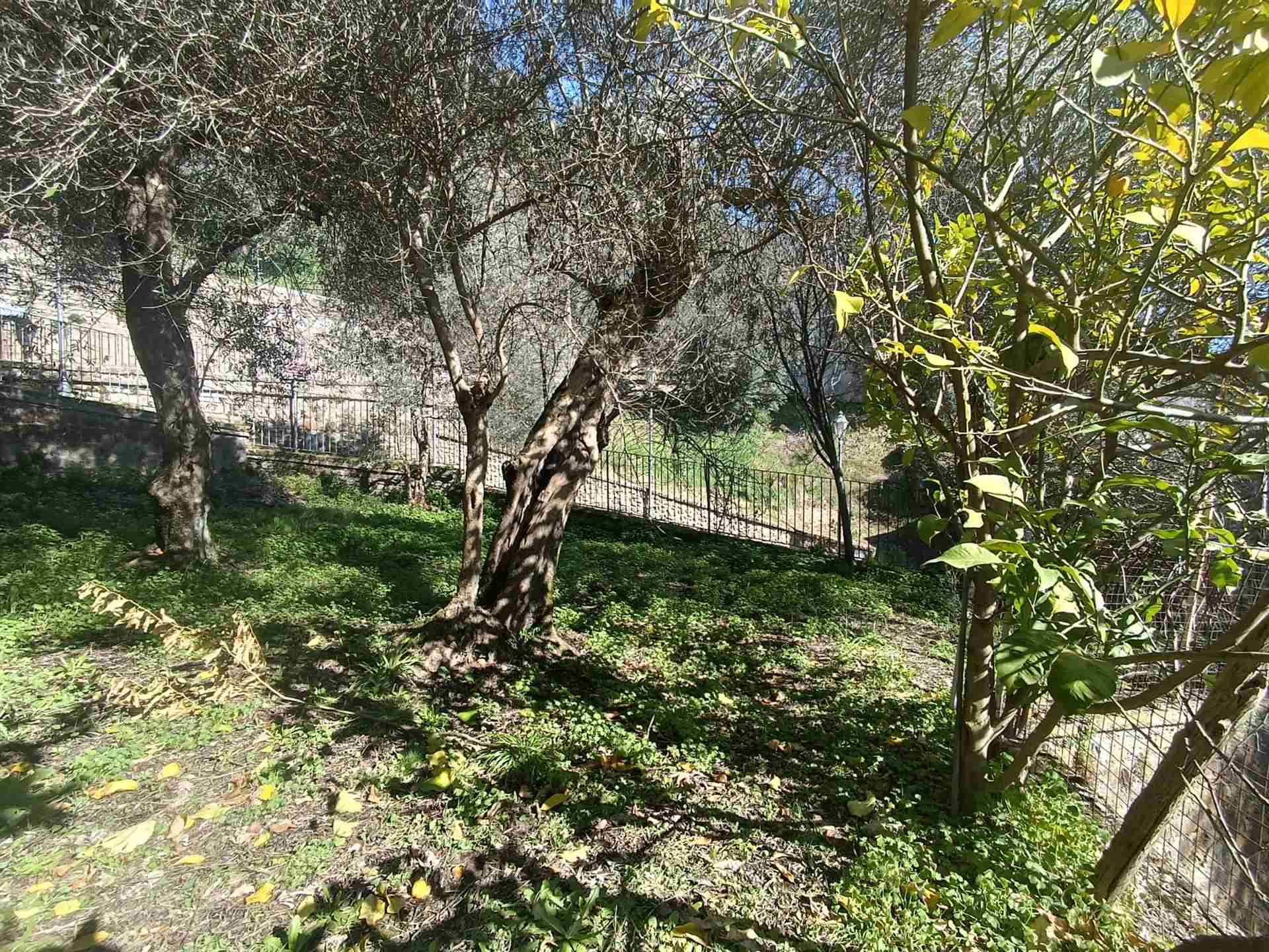 Casa semi indipendente a Marzano Appio, foto 37
