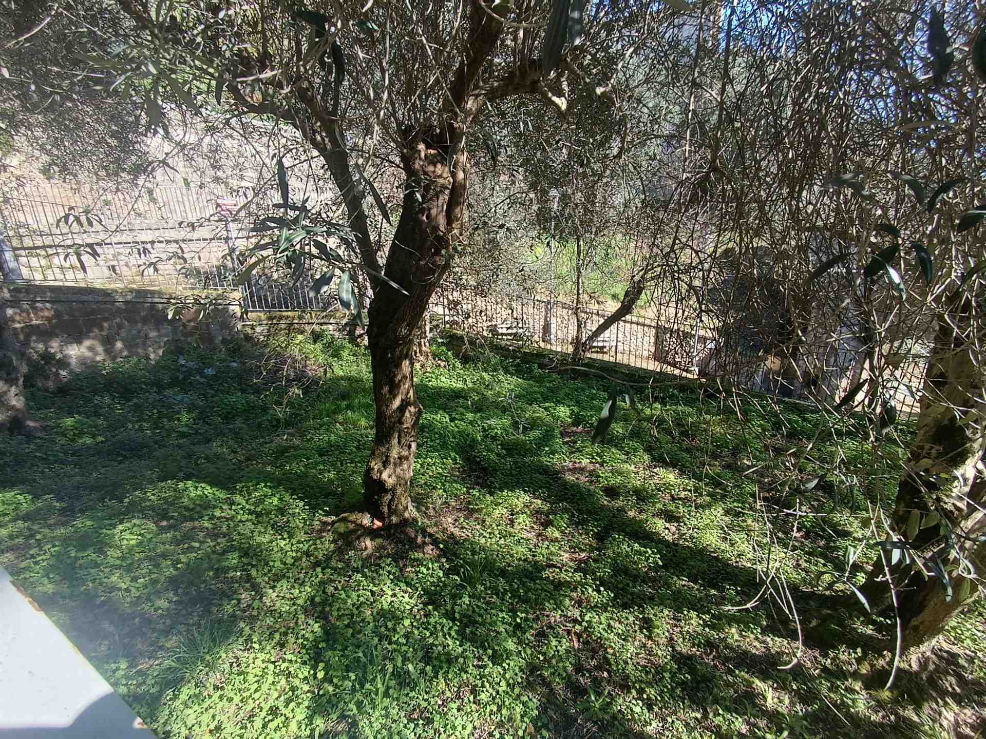 Casa semi indipendente a Marzano Appio, foto 40