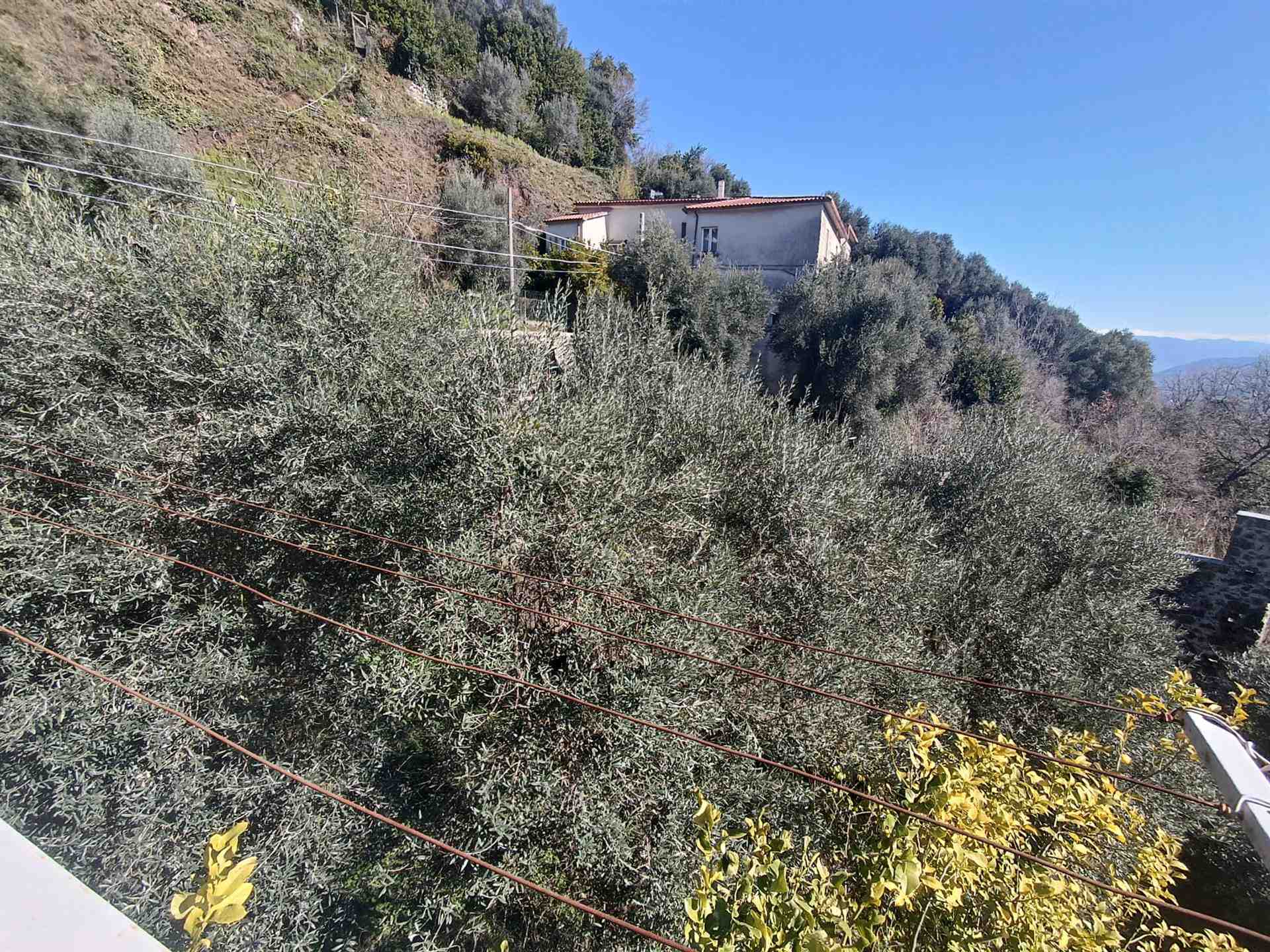 Casa semi indipendente a Marzano Appio, foto 42