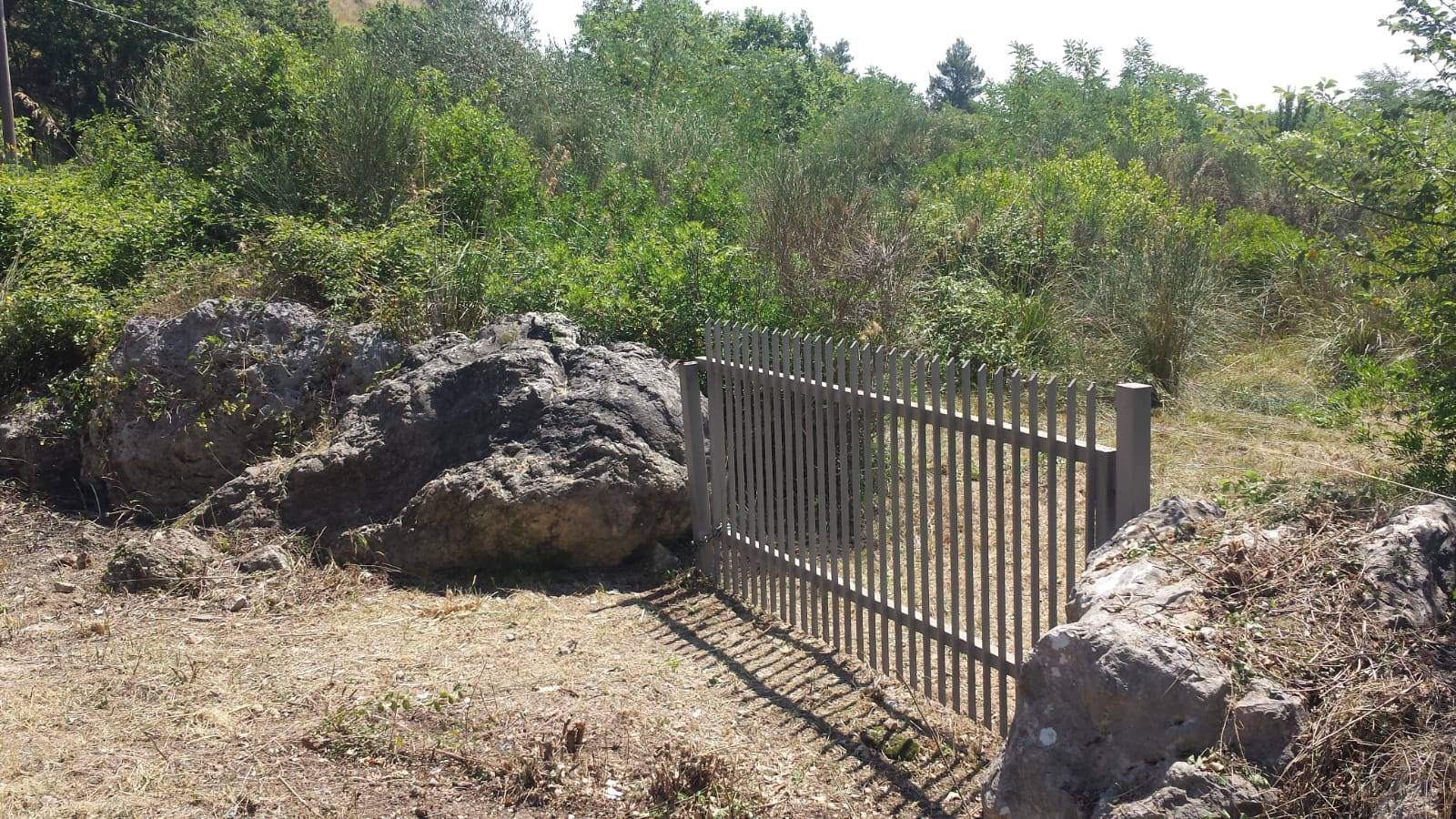 Terreno agricolo a Sparanise, foto 3