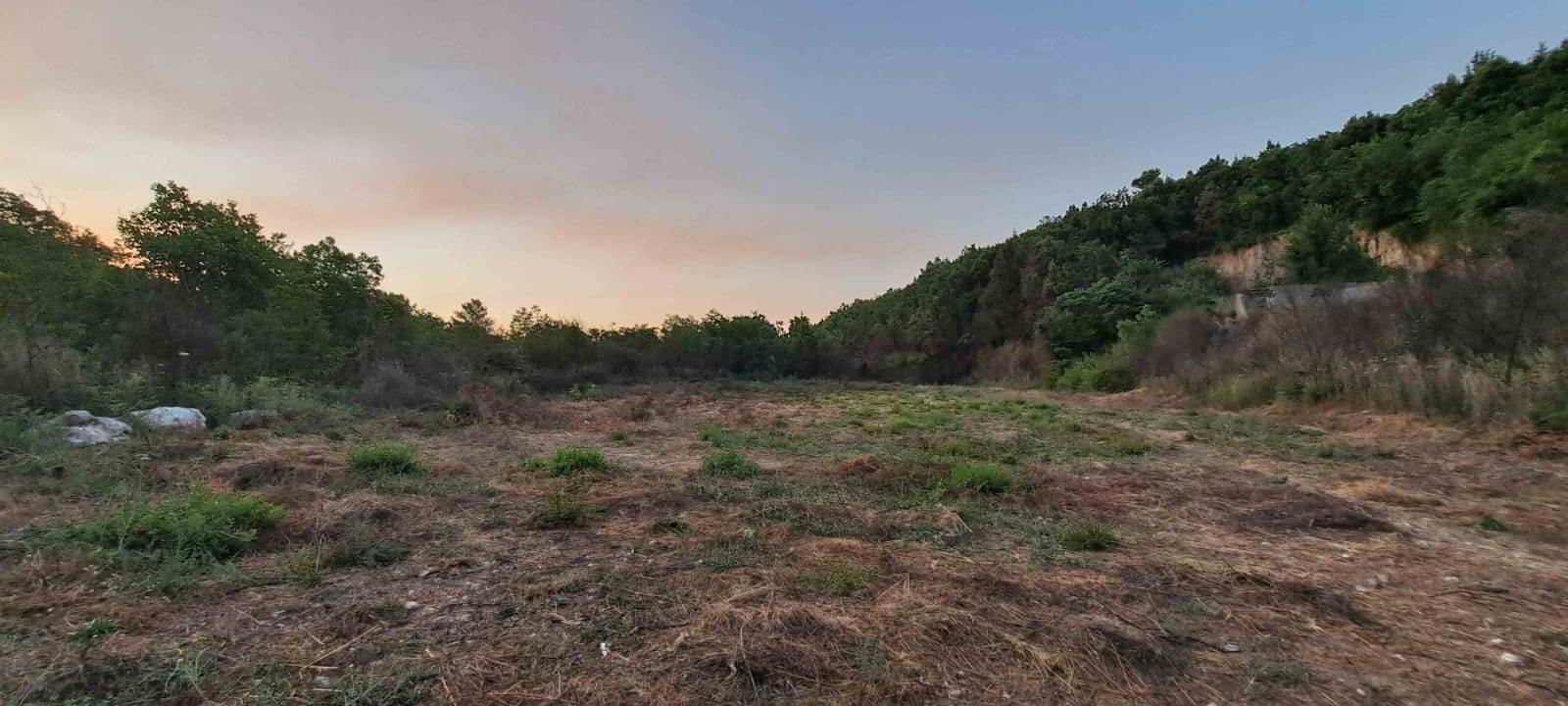 Terreno agricolo a Sparanise, foto 7